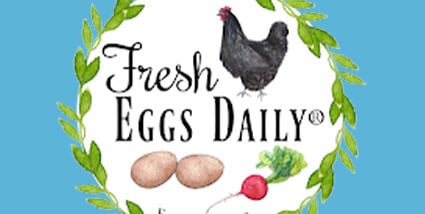 Fresh Eggs Daily